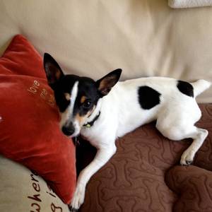 Fundraising Page: Denise Matthews